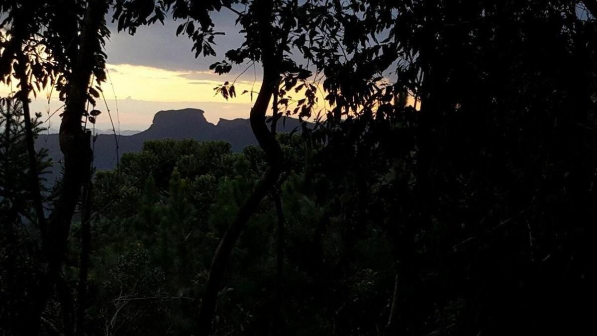 Chale Dos Tucanos- Parede De Vidro Com Linda Vista Campos do Jordão Eksteriør bilde