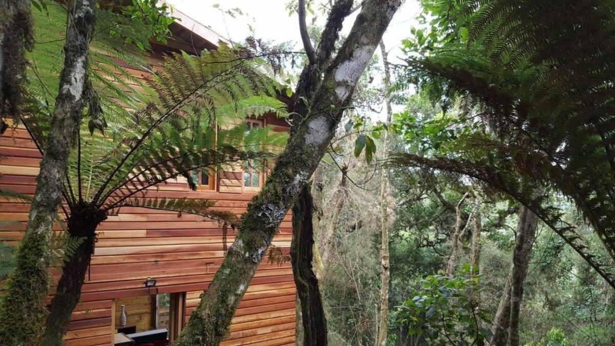 Chale Dos Tucanos- Parede De Vidro Com Linda Vista Campos do Jordão Eksteriør bilde