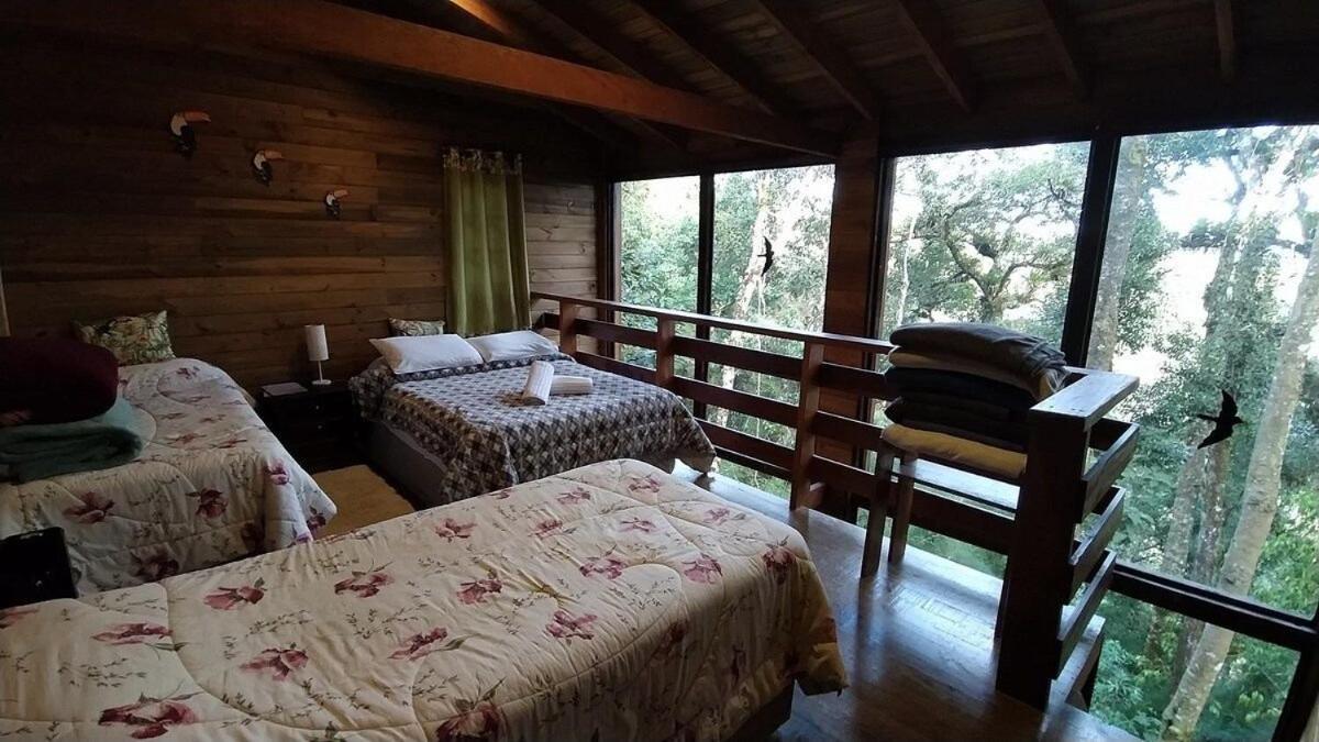 Chale Dos Tucanos- Parede De Vidro Com Linda Vista Campos do Jordão Eksteriør bilde